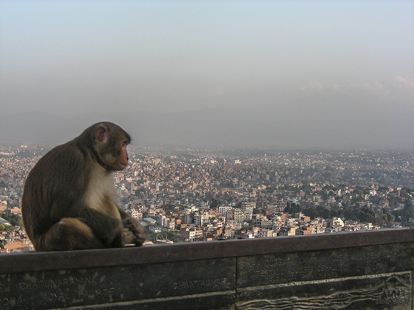 Nepal 20071101___6430