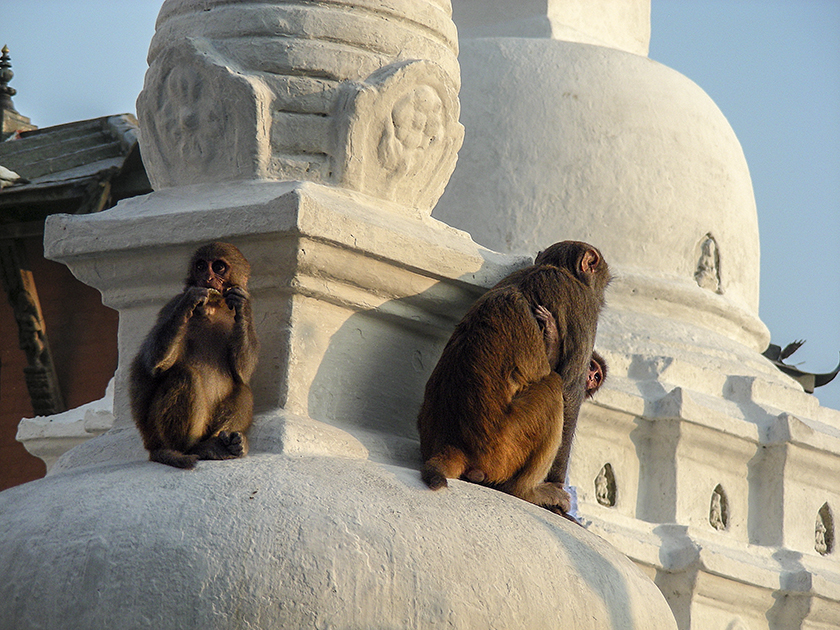 Nepal 20071101___6450
