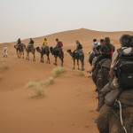 Maroco 20080430_3043