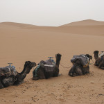 Maroco 20080501_3059
