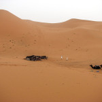 Maroco 20080501_3061