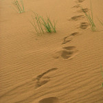 Maroco 20080501_3063