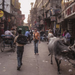 Delhi 20071103___7012