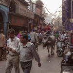 Delhi 20071103___7025