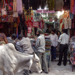 Delhi 20071103___7062