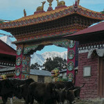 20071024___6986